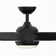 Annasophia 60'' Ceiling Fan with LED Lights