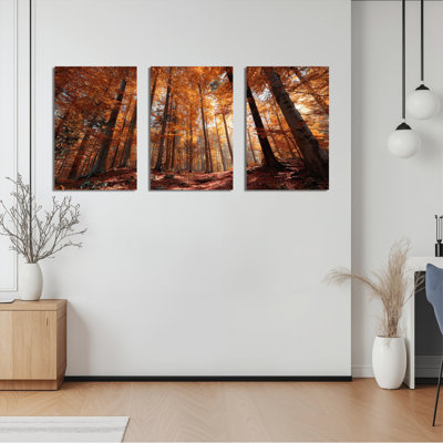 Autumn Forest Landscape Canvas Wrapped Wall Art Set Of 3