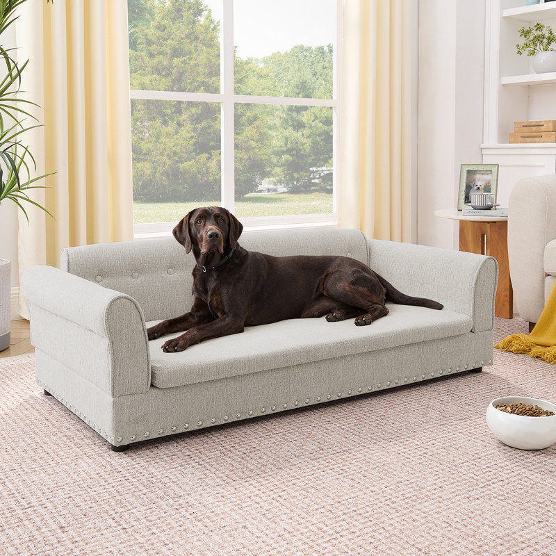 Élégant canapé capitonné pour grands chiens, canapé rembourré en lin avec garniture cloutée, large beige 55 po