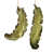 Olive verte est en rupture de stock
