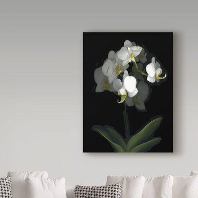 «Mini White Orchids» par Dosta, impression sur toile tendue