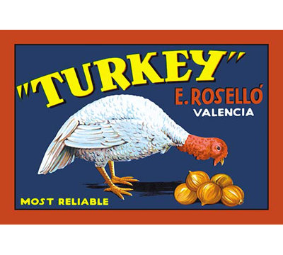 " Turkey "