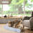 Cat Scratcher,Cardboard Lounge Bed, Bone Shape Design-385377265
