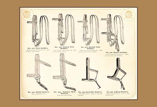 «Bridles and Halters», impression