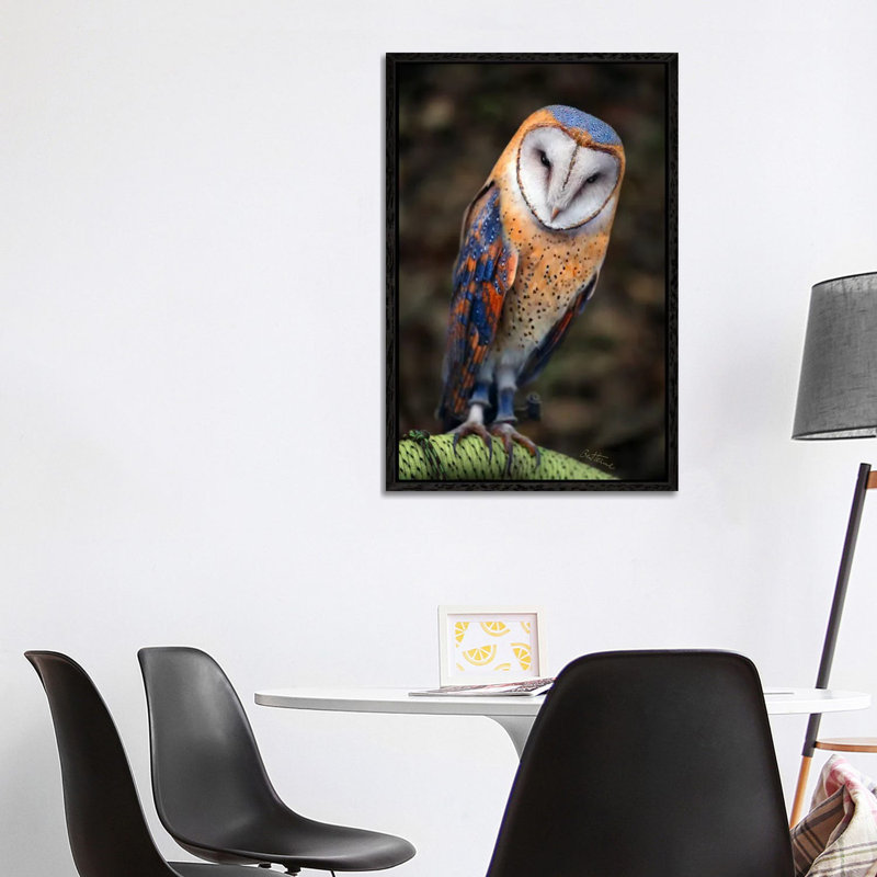 Cute Owl by Ben Heine - Print on Canvas, 101.6 cm H x 66.04 cm W, Black Framed