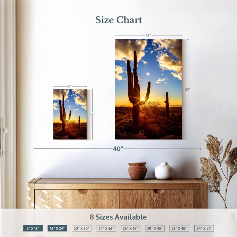 Parc national Aime Saguaro Est V, H 12 po x l 8 po