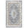 Delmer Performance Oriental Rug