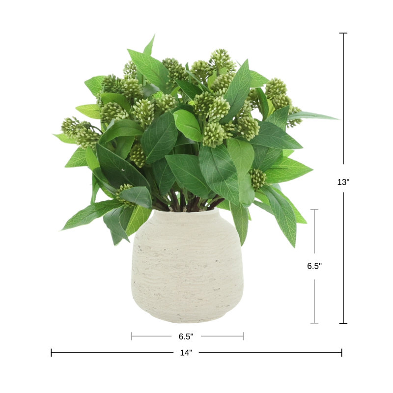 Sedum Bush dans un vase Fiberstone, Gris