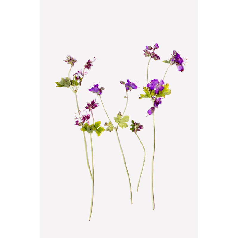 Fleur sauvage mauve, H 18 po x l 12 po