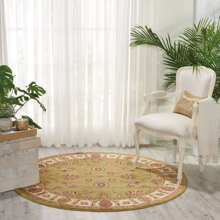 Baranof Oriental Indoor Rug