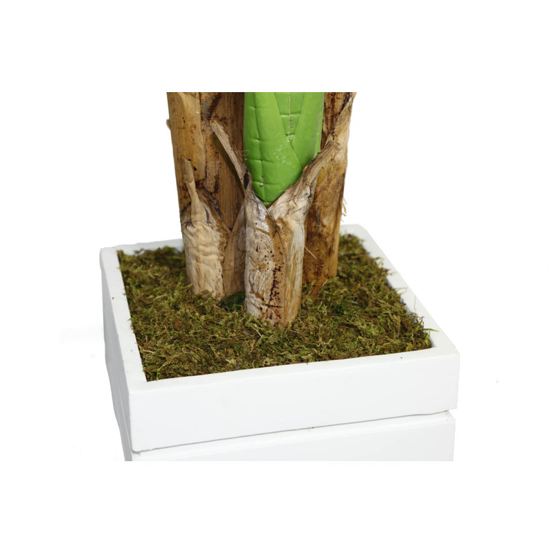 Bananier artificiel 86 po Panama, Blanc