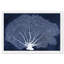«Nautical and Coastal Coral Fan», impression d'art graphique sur papier-25408914-25408920