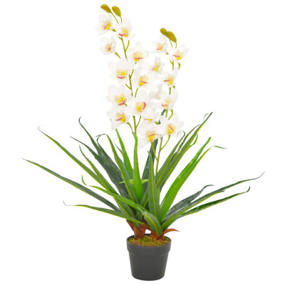 Orchid Arrangement in Pot