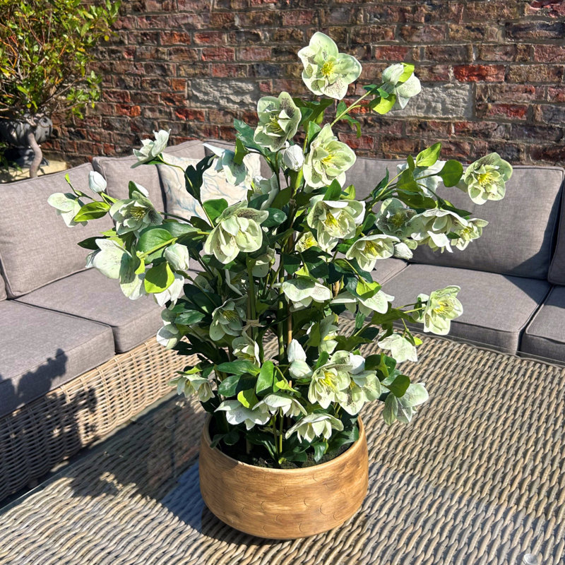 Arrangement in Pot, Tan, Green