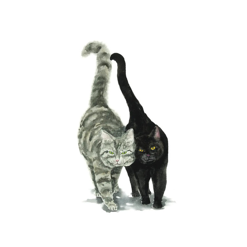 Black Cat And Tabby Cat by Alexey Dmitrievich Shmyrov - Wrapped Canvas Print, 20.32 cm H x 30.48 cm W