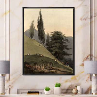 Images rétro de vieux arbres II - peinture sur toile