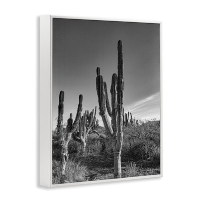 Giclée encadrée Sunlit Succulents Canyon Cacti, design par Norm Stelfox
