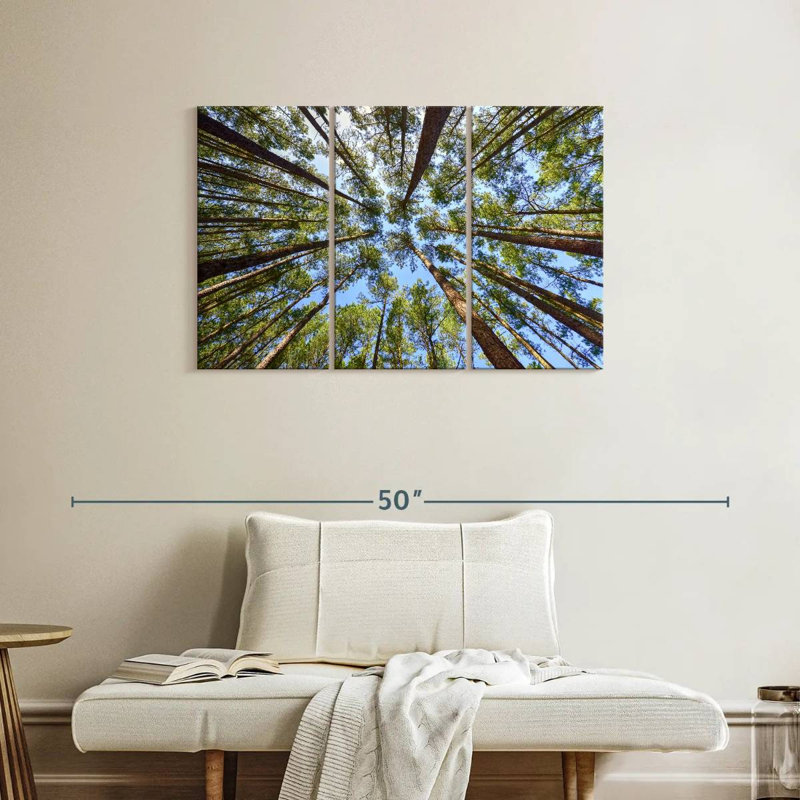 Harnek Towering Pine Trees, 24" H x 38" W
