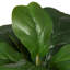 17'' Faux Plant in Pot-1459977080