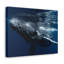 No Frame Print on Canvas-58899722