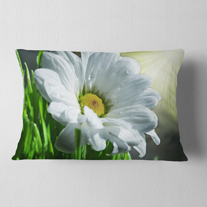 Coussin lombaire en cascade simple magnifique