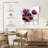Harnek My Magenta II-109095160