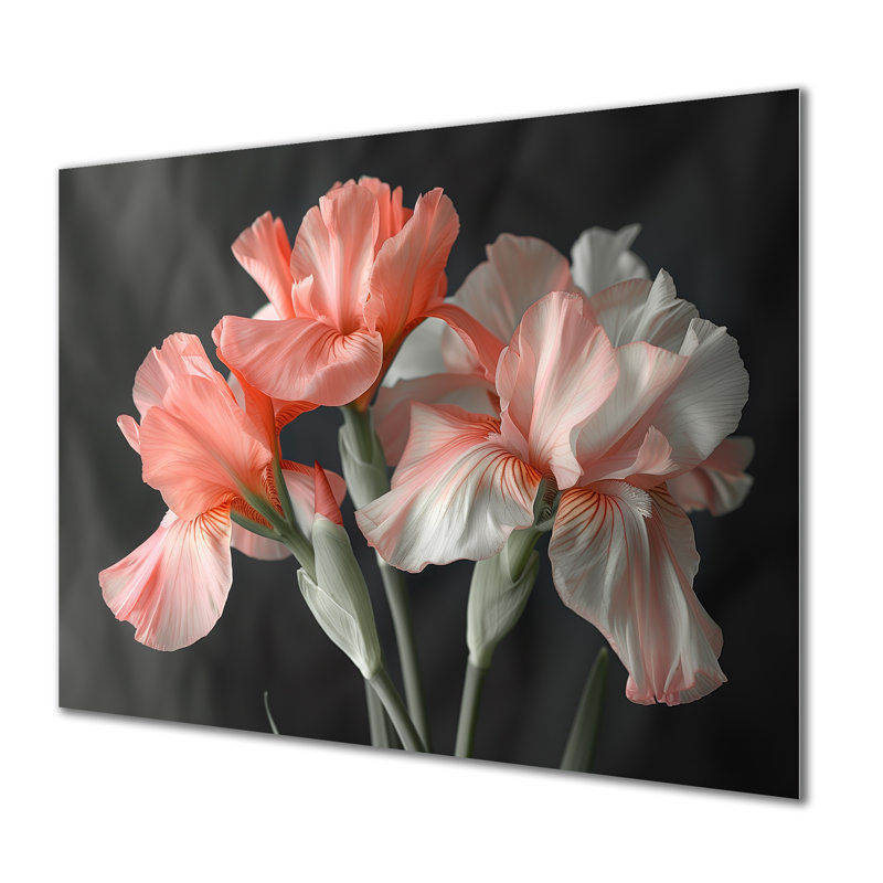 Rose, noir, jardin, glamour, iris - iris, art mural, Sans cadre, métal, H 12 po x l 20 po x P 1 po