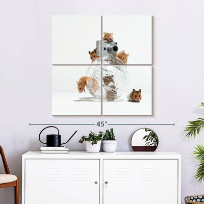 Brampt Picture Perfect Hamsters
