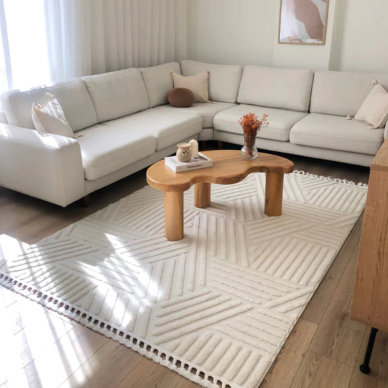Tapis en coton Delsie, Rectangle 2 pi 8 po x 5 pi
