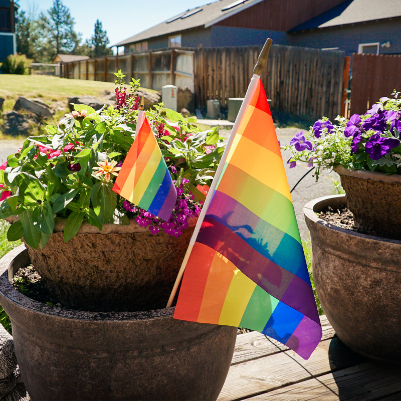 Drapeau imprimé à main arc-en-ciel, H 10,5 po x l 6 po