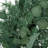 Cragin Polyester Wreath