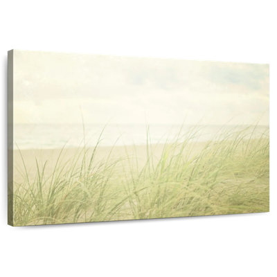 Gillard Beach Grass II