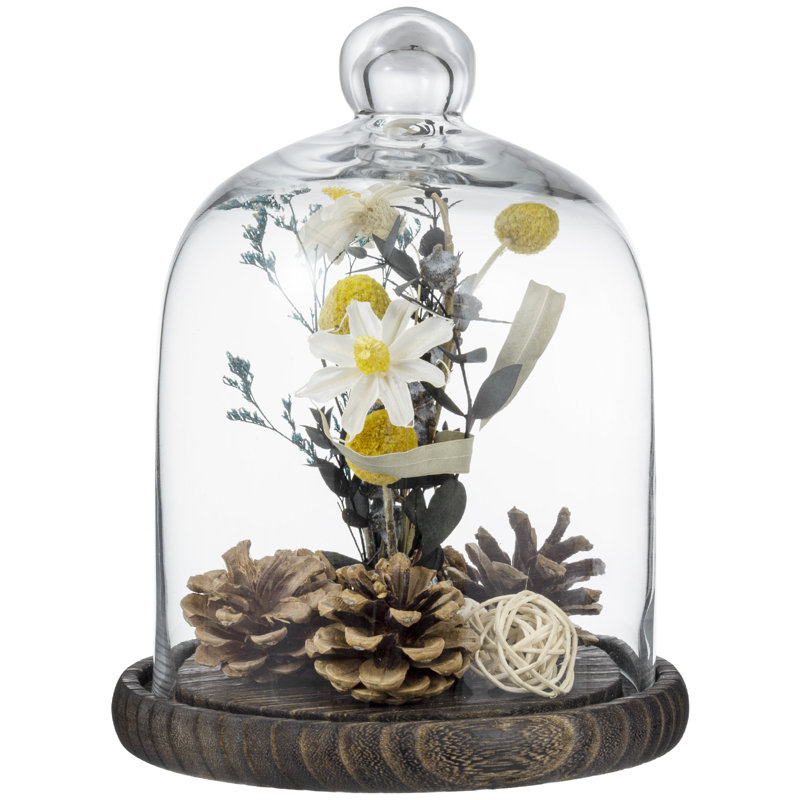 Vidu Display Clear Cloche with Wood Base