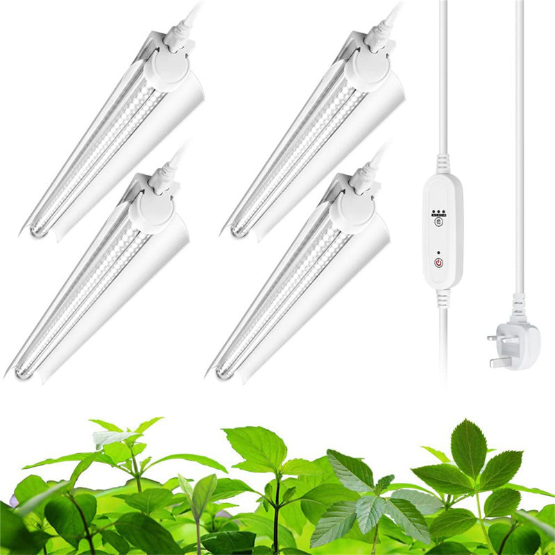 Naomi Grow Light