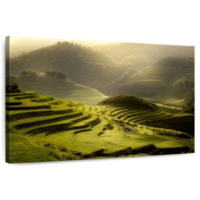 Alvord Terraced Rice Fields