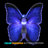 Plastic Insects Garden Stake