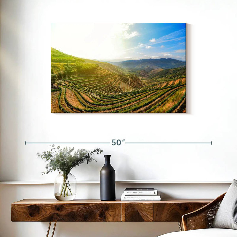 Alvord Douro Valley Morning, H 24 po x l 36 po
