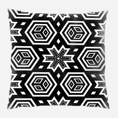 Coussin décoratif transparent