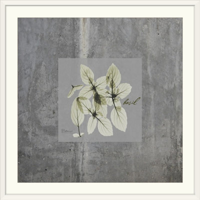 «Concrete Basil» par Redmayne, impression