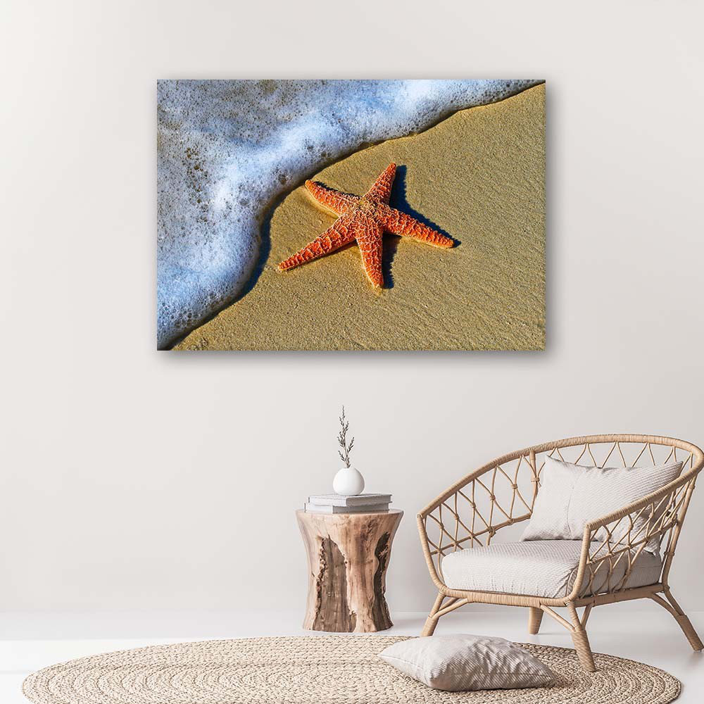 Leinwandbild Orange starfish