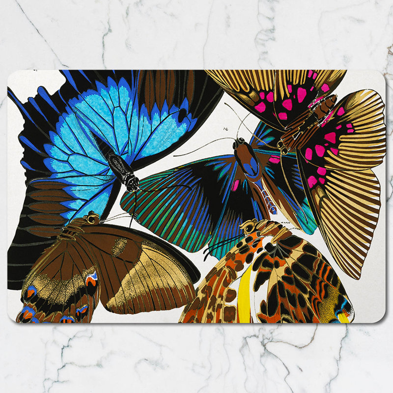 Butterfly Placemats And Coaster Set With Colorful Wings