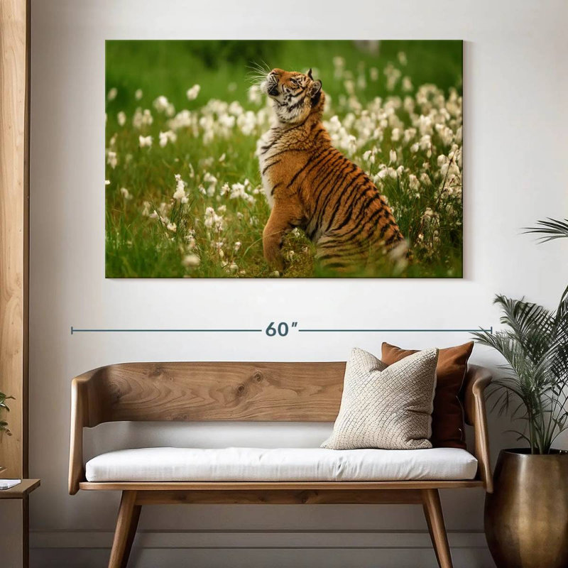 Brampt Tiger Cub, 34" H x 51" W