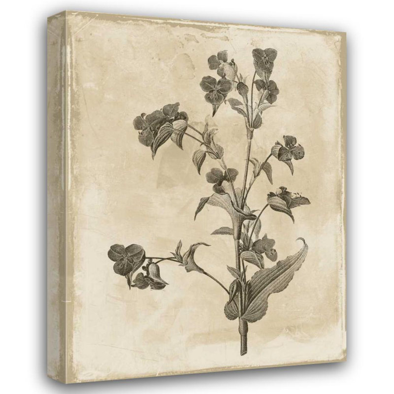 «Red Barrel Studio®», art sur toile tendue par Jace Gallery: Earthy floral 4