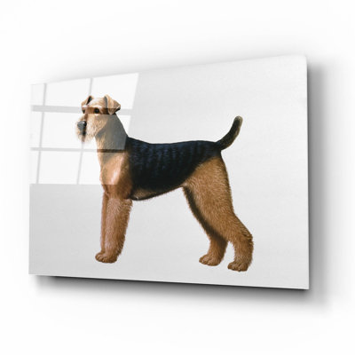 Red Barrel Studio «Airdale Terrier» par Harro Maass, art mural en verre acrylique