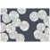 Anjuman Area Rug