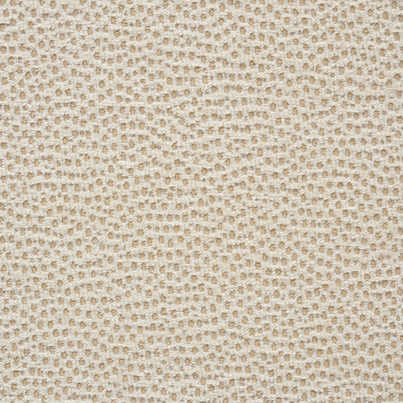 Tissu Stingray, Champagne