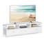 Adame TV Stand-1698463177-1741519341
