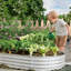 Ensemble de lit de jardin surélevé galvanisé robuste pour légumes et fleurs résistant à la rouille 8 x 4 x 1 pi