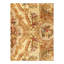 Oriental Area Rug