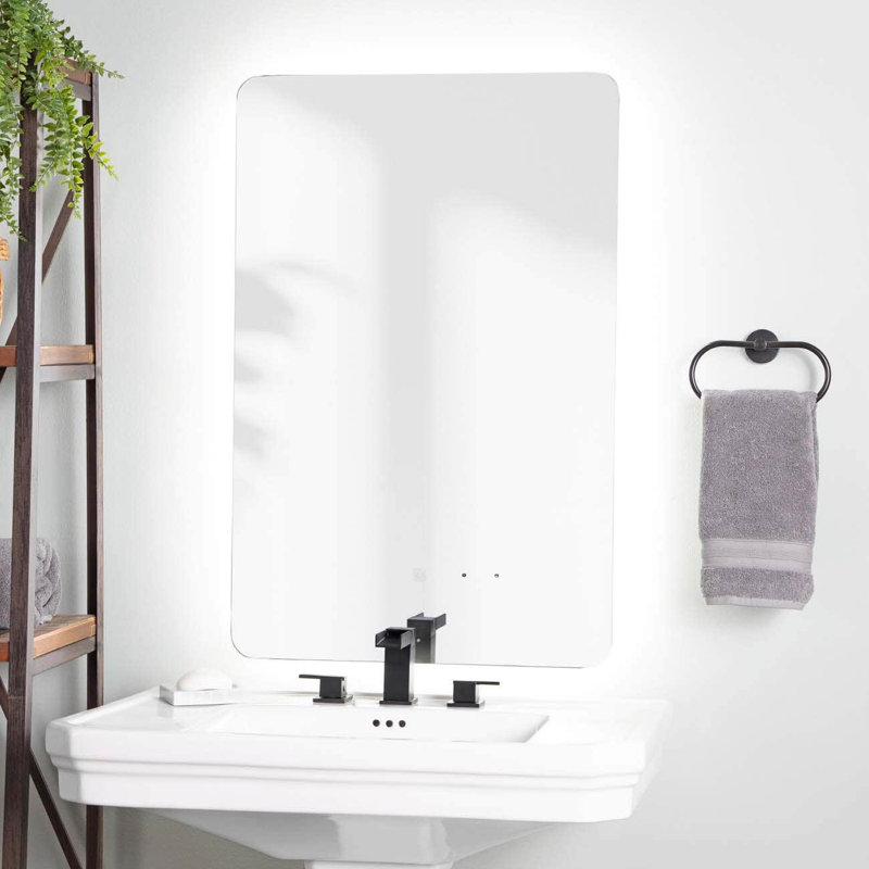 Miroir de salle de bain mural Totterdell, 36 po x 24 po